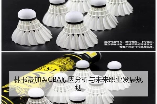 林书豪加盟CBA原因分析与未来职业发展规划